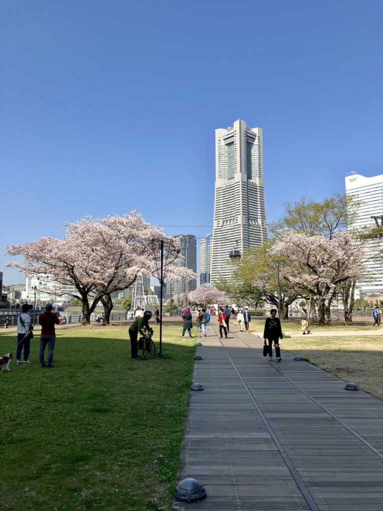 汽車道から見た横浜ランドマークタワー