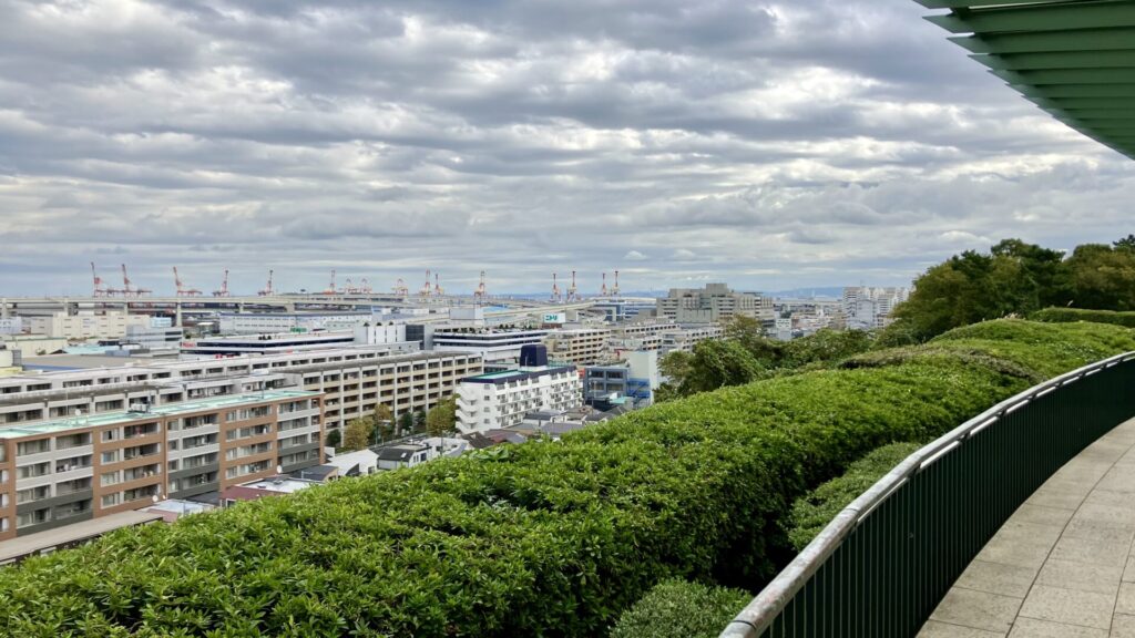 展望台から見える景色