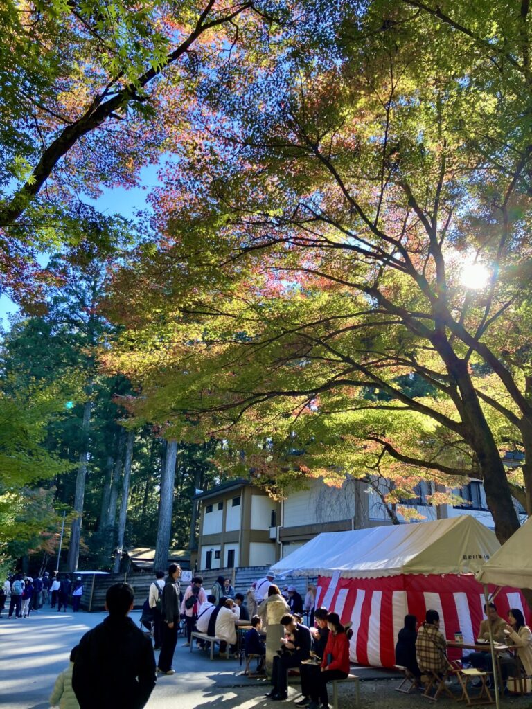 色づきはじめの木々と木漏れ日