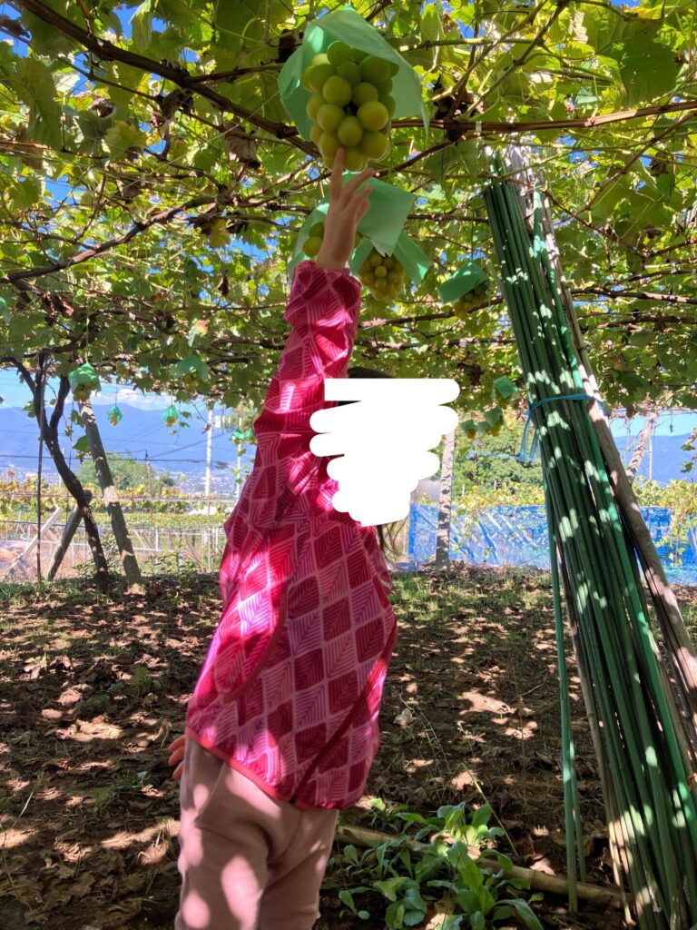 シャインマスカットに手を伸ばす娘